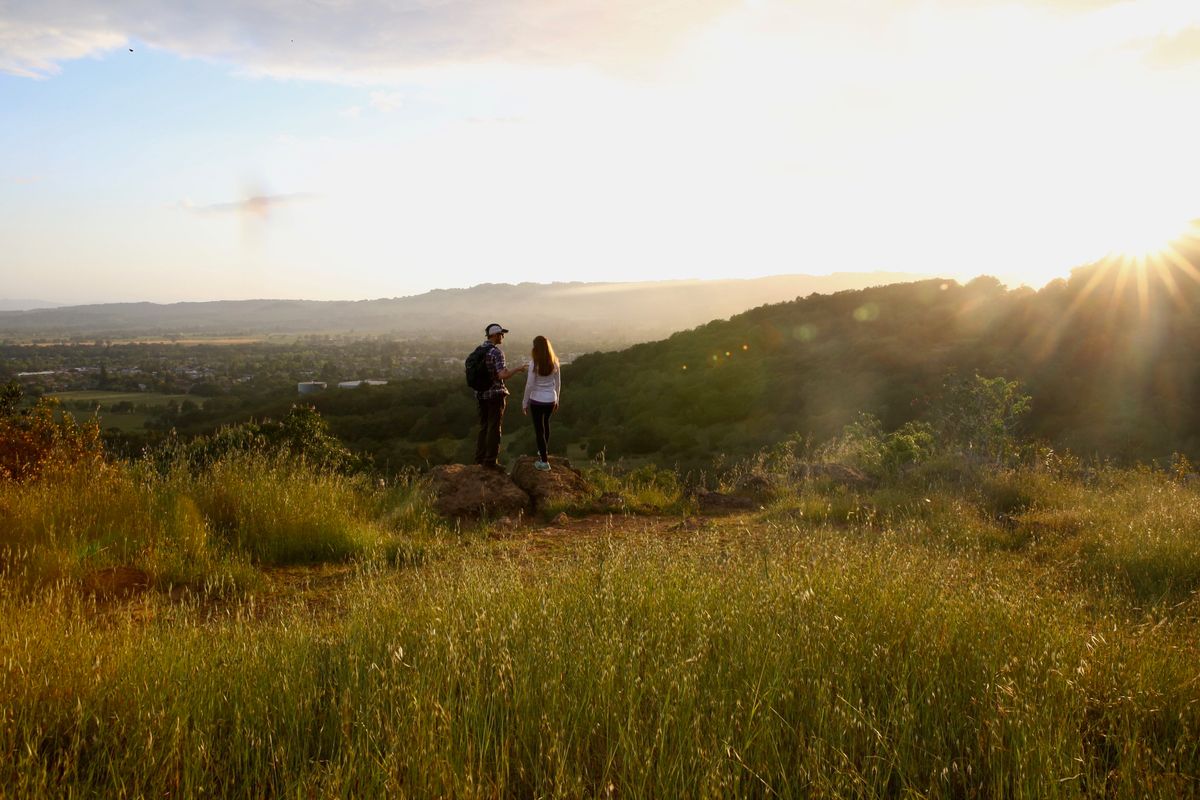 3 Short Hikes With Beautiful Bay Area Views