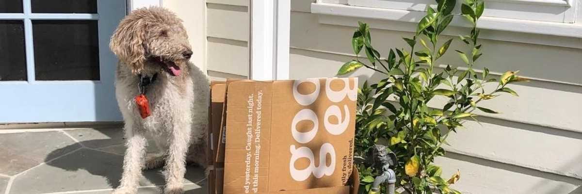 The Best Meal + Grocery Delivery Services in the Bay Area