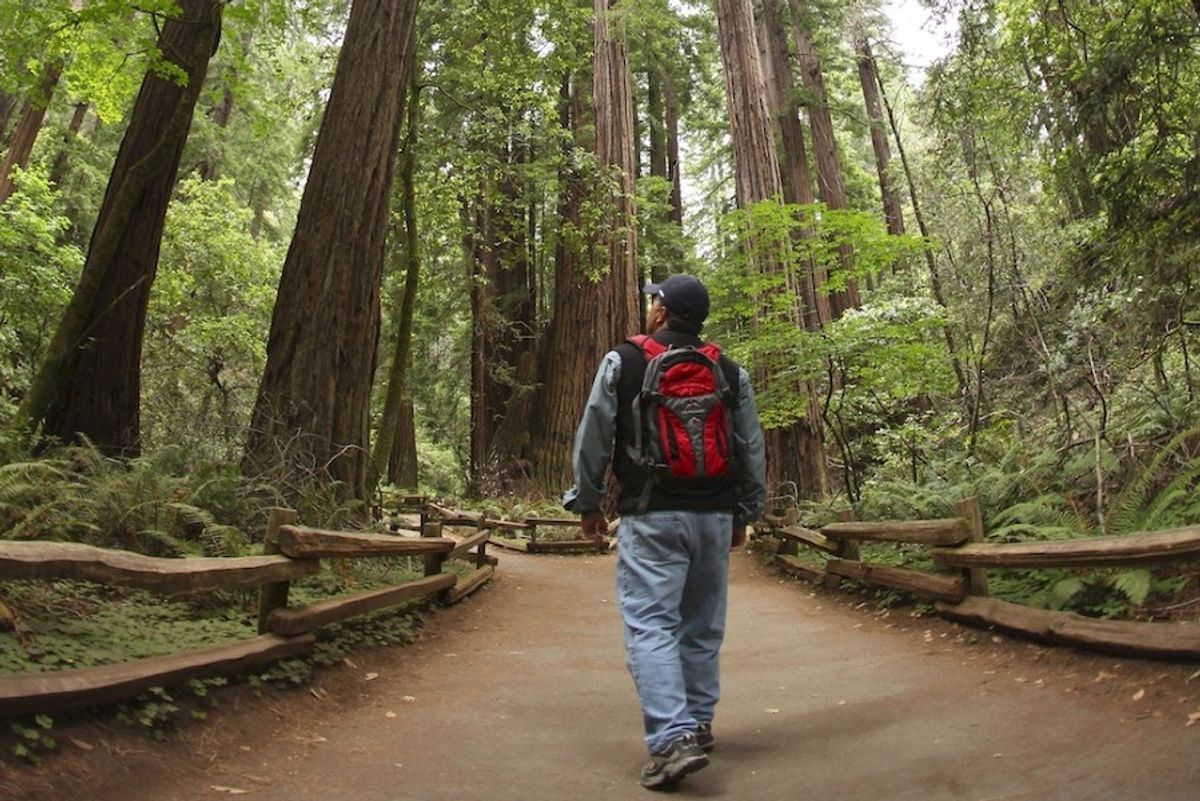 Plan your visit to magical Muir Woods