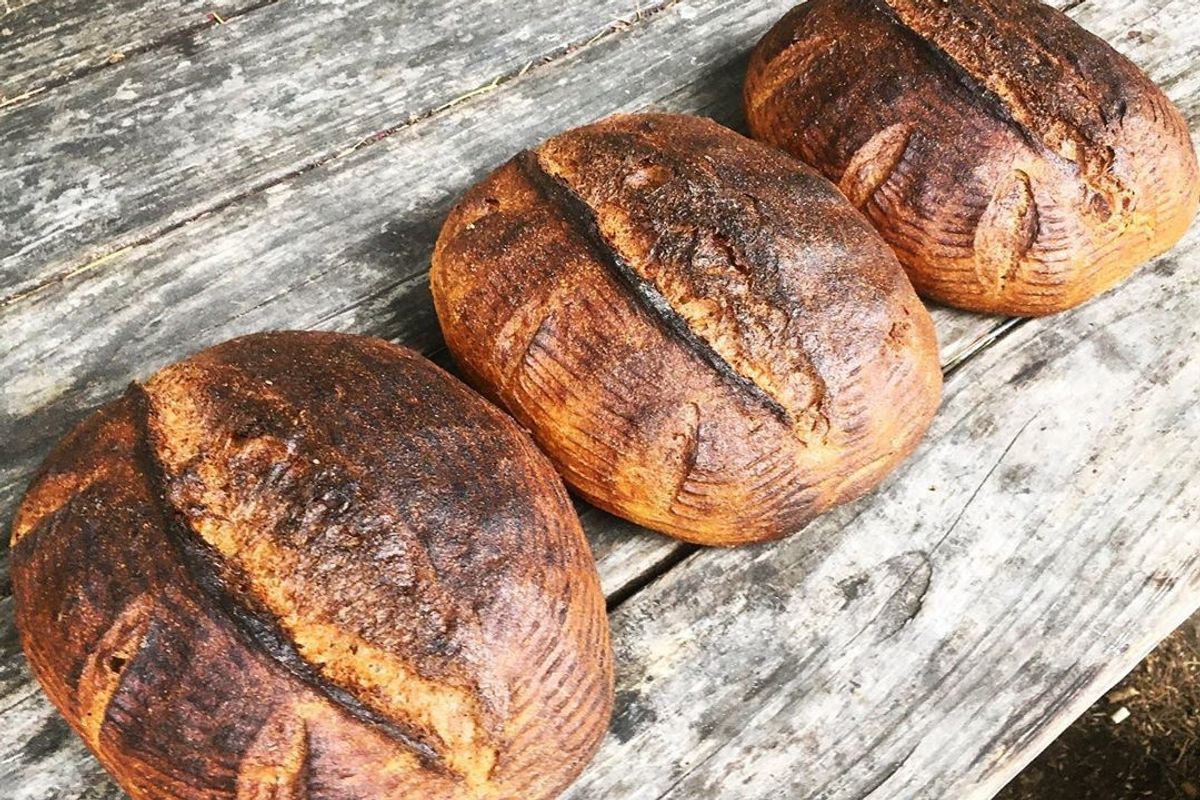 17 Fun Things to Do at Home (4.20.20)