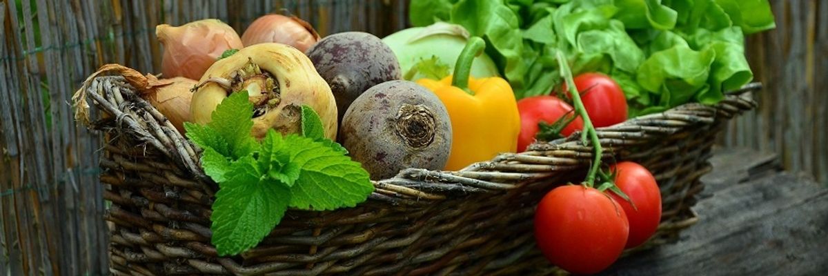 9 CSA Subscriptions: Get the freshest produce delivered to your door