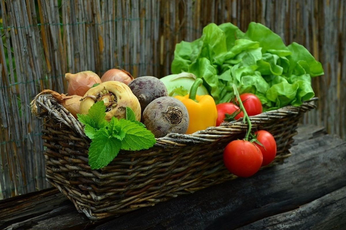 9 CSA Subscriptions: Get the freshest produce delivered to your door