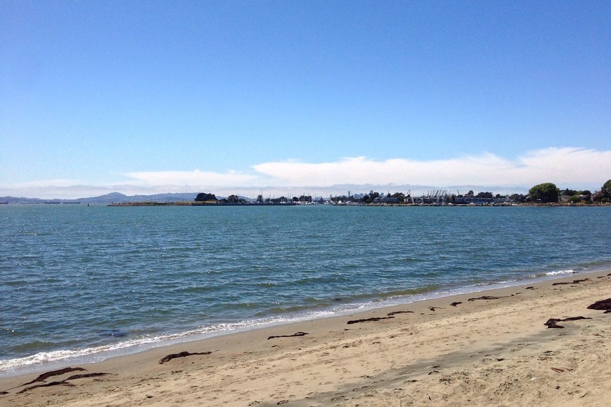 Where to Go Swimming in the East Bay
