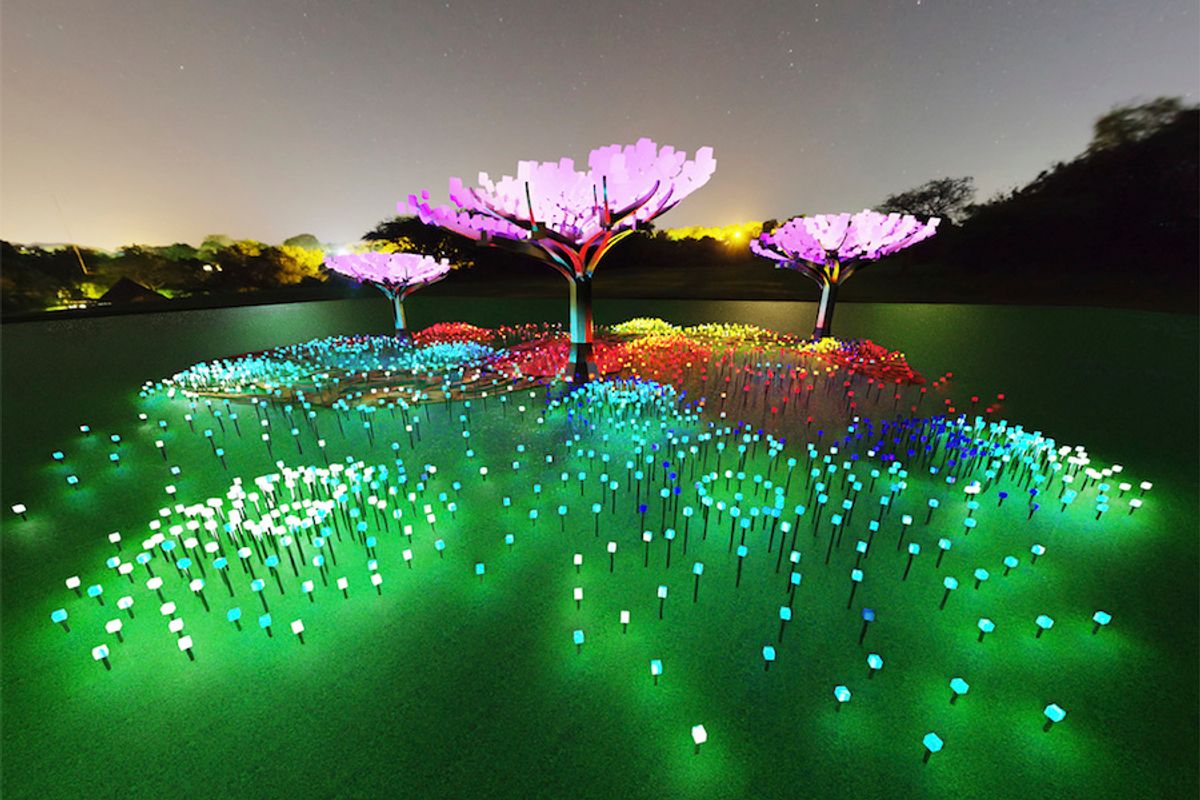 An enchanted LED forest is sprouting in Golden Gate Park + more good news from around the Bay Area