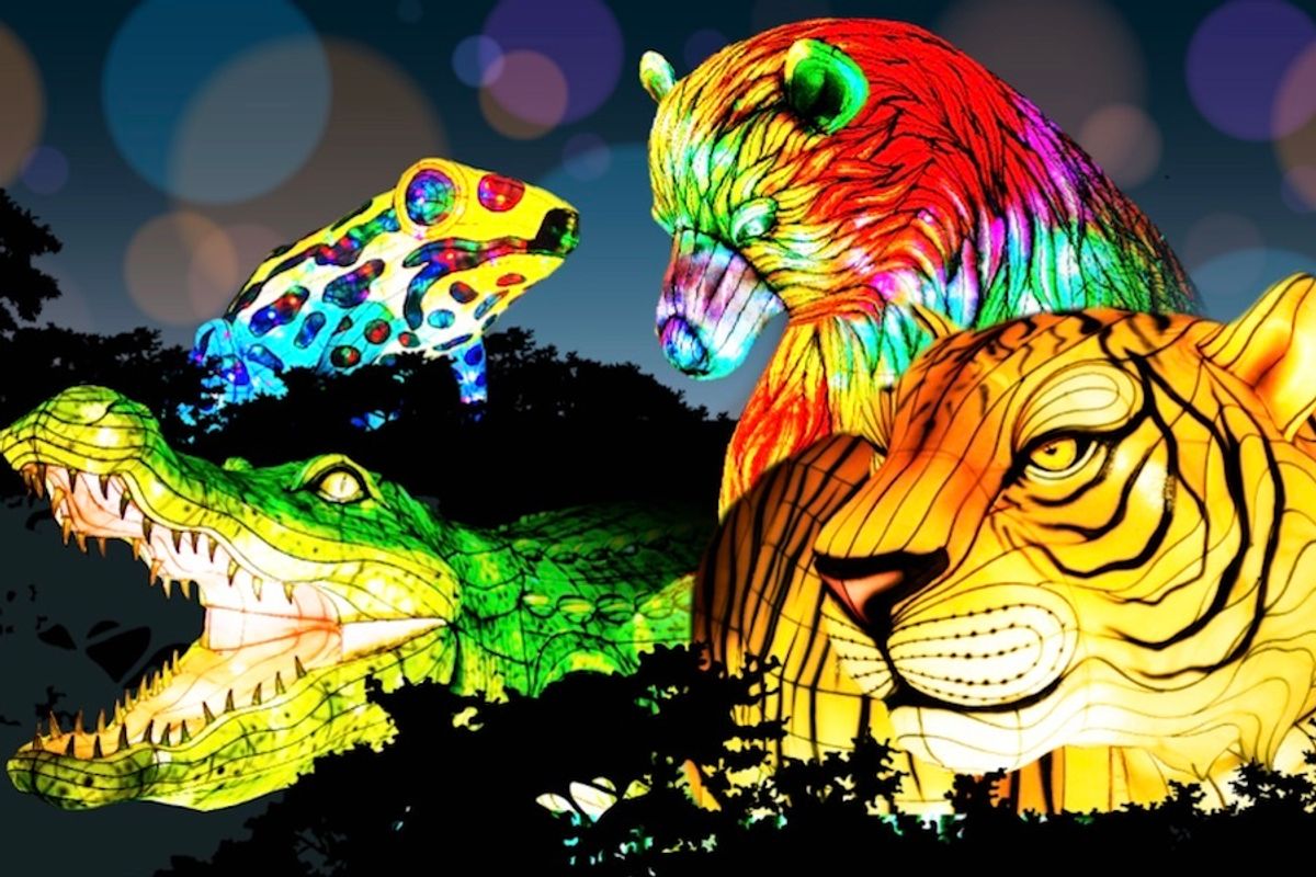 24 Fun Things to Do This Week (11.16.20)