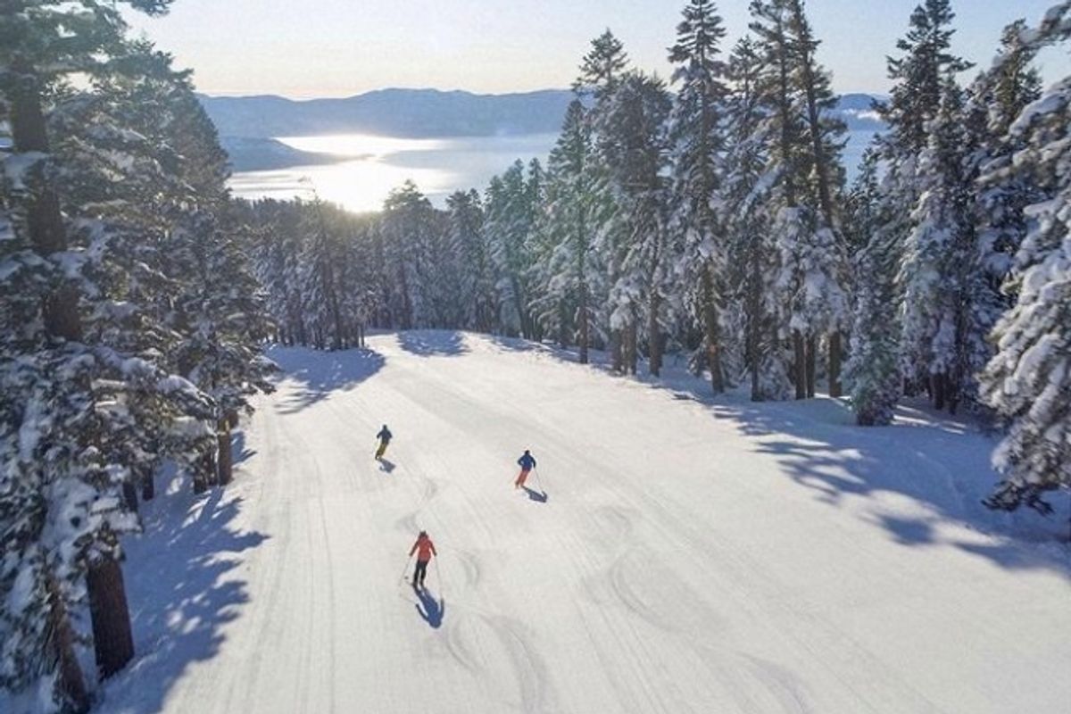 21 Fun Things to Do This Week (11.23.20)