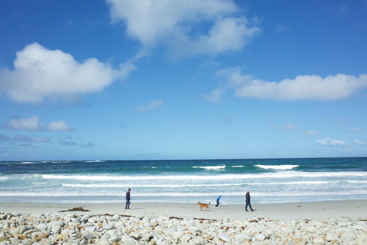 Monterey R&R: Beach bike rides, kayaking, tide pooling + waterfront dining