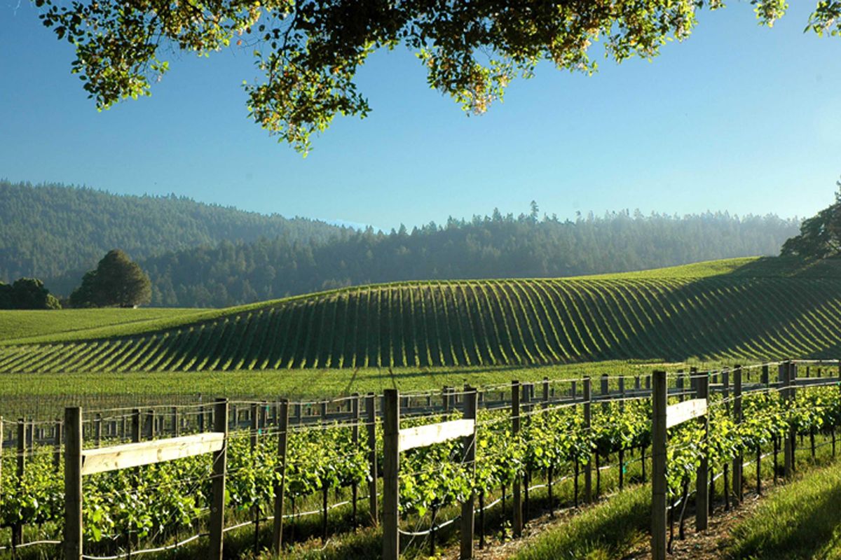 Make a wine weekend of it during Anderson Valley's Pinot Month