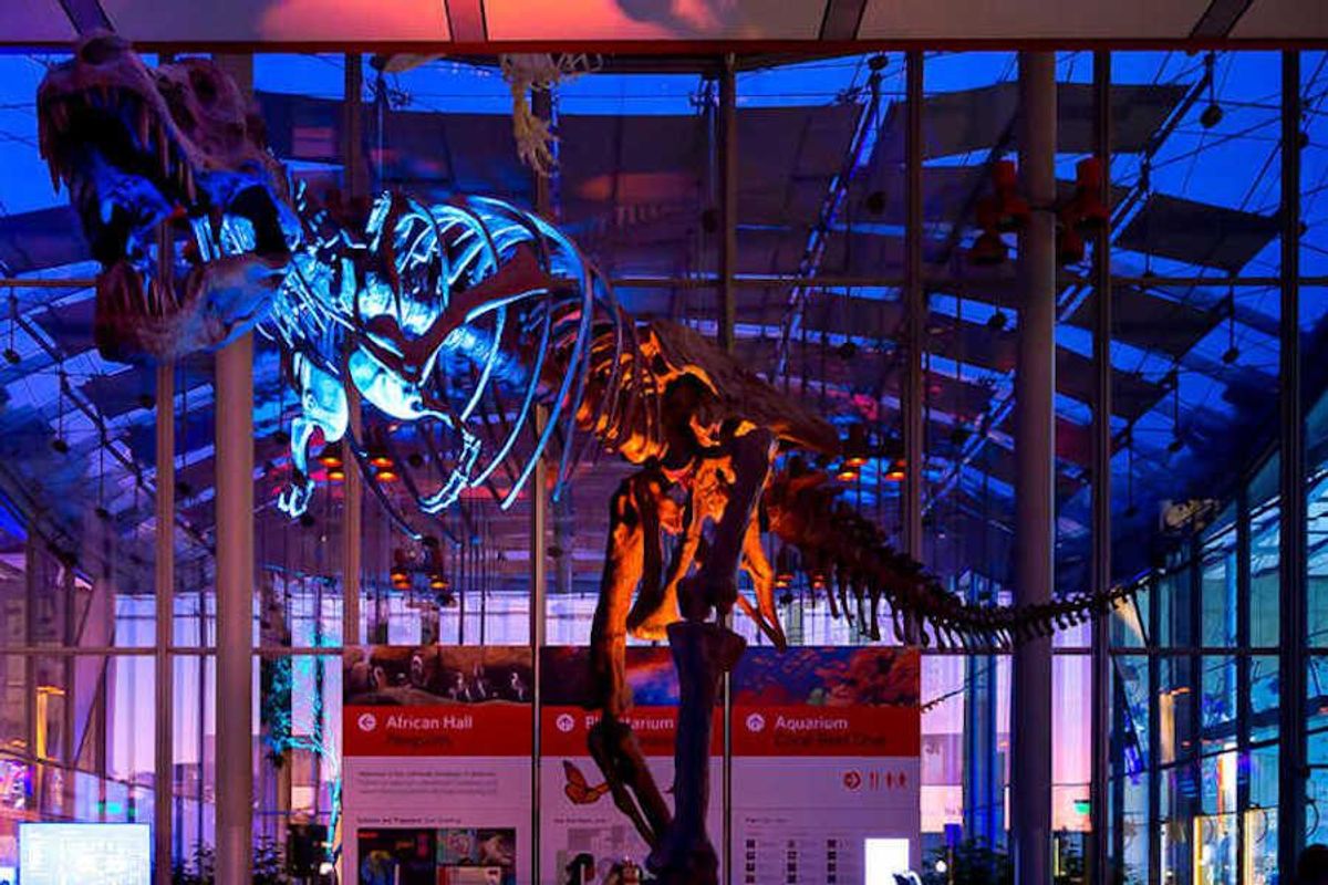 22 Fun Things to Do This Week (5.10.21)