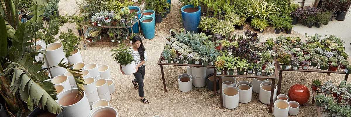 The Best Places to Buy Succulents, Cacti + Air Plants in the Bay Area