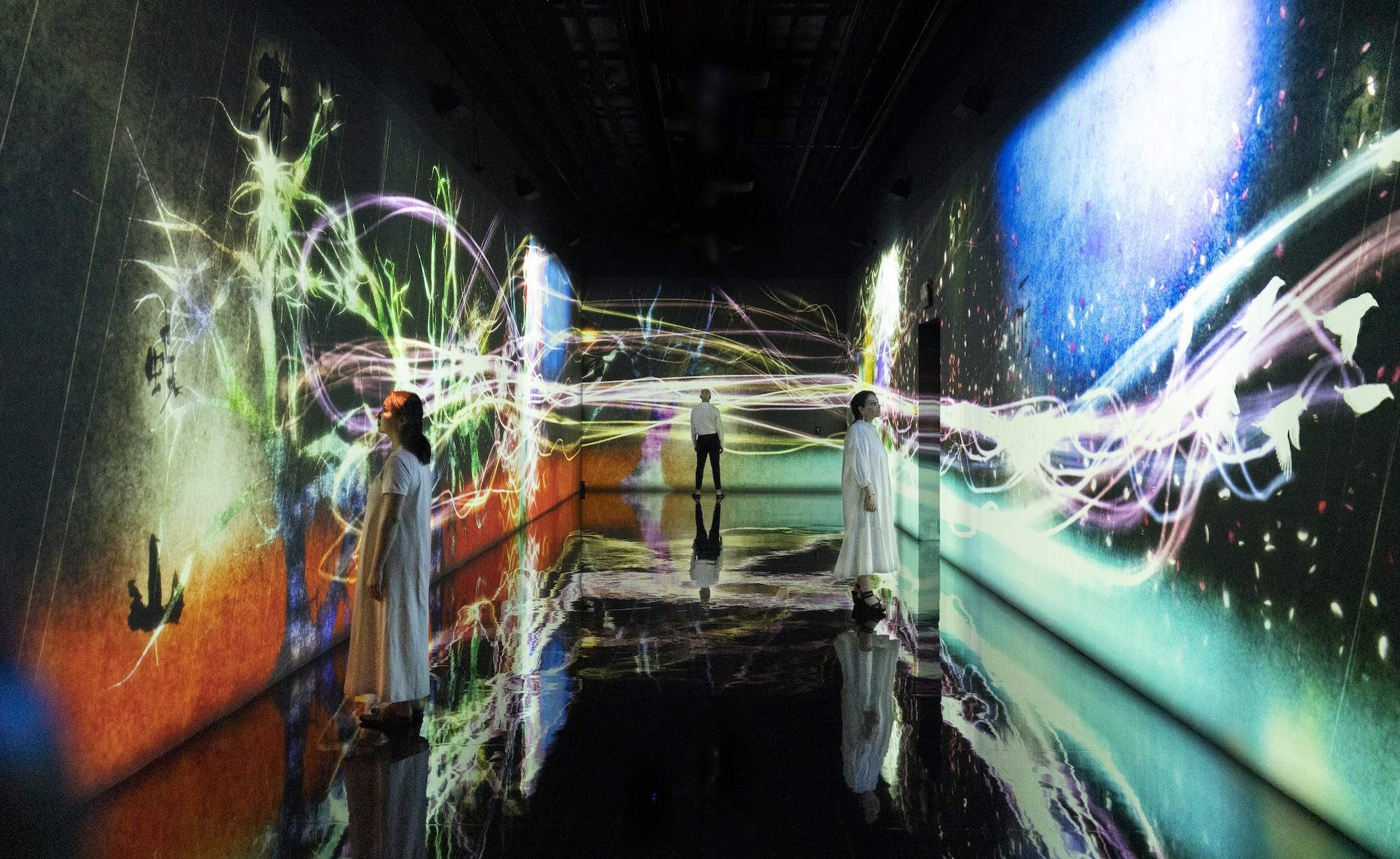 Asian Art Museum's interactive TeamLab exhibition is a funhouse of the future