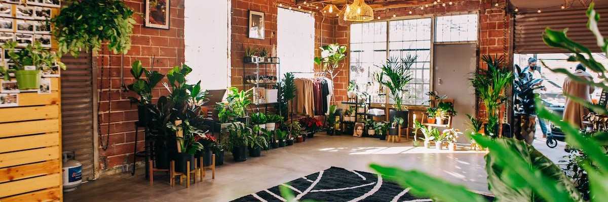 The vibey Blk Girls Green House pops up in San Francisco + more local style news