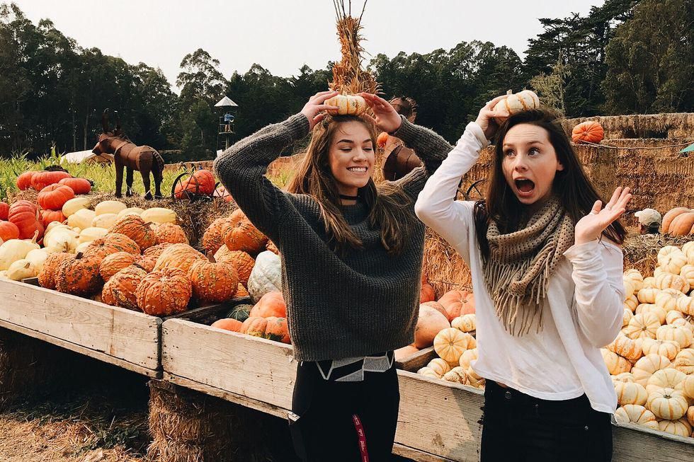 10 Pumpkin Patches (That Are So Much More) in the Bay Area