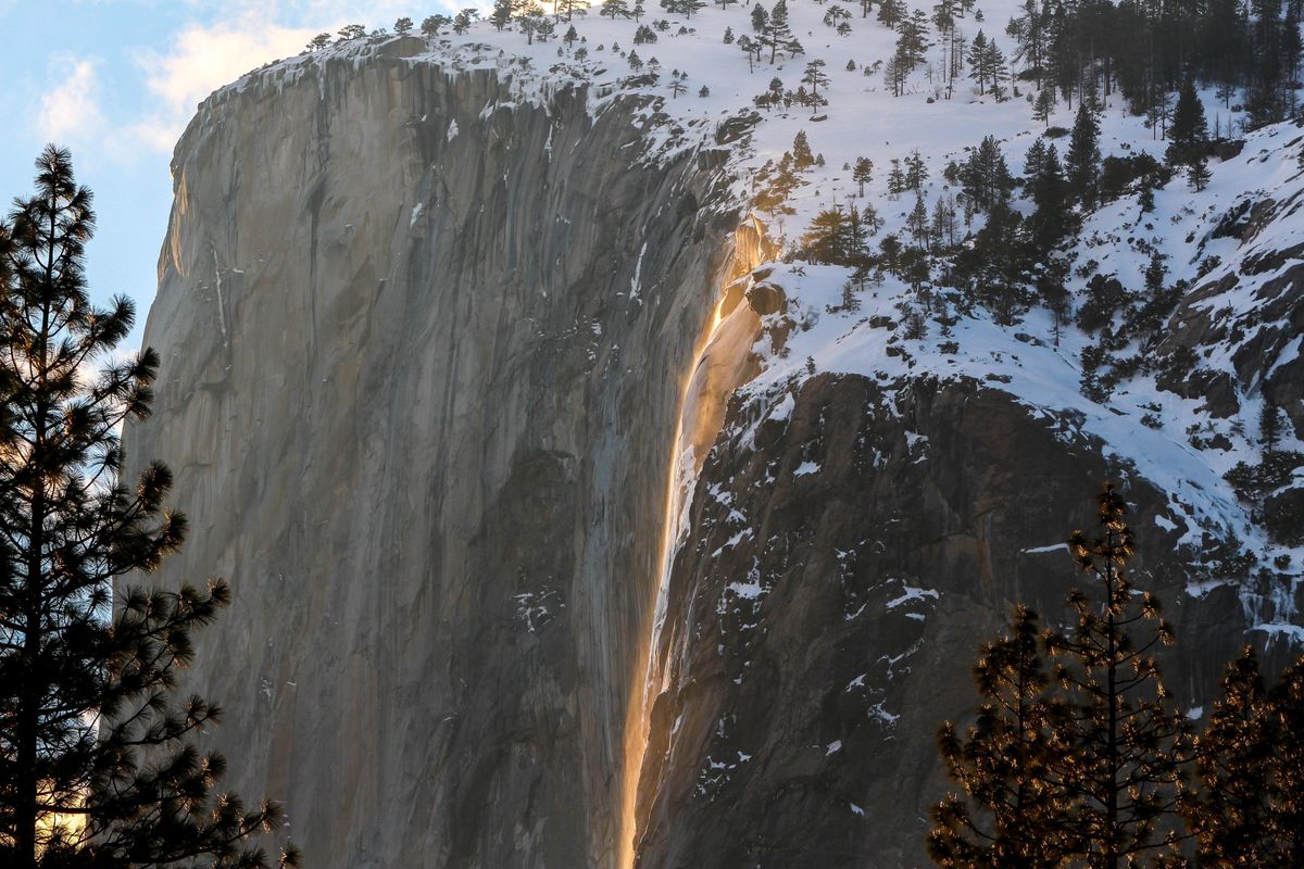 18 Fun Things to Do This Week (2.21.22)