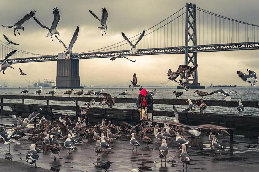 SF street photographer David Gregory looks for beauty after tragedy