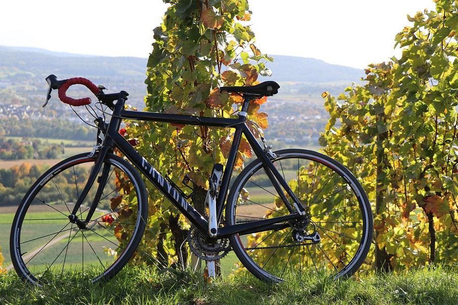 Wine on Wheels: 4 Bay Area Tasting Routes by Bike