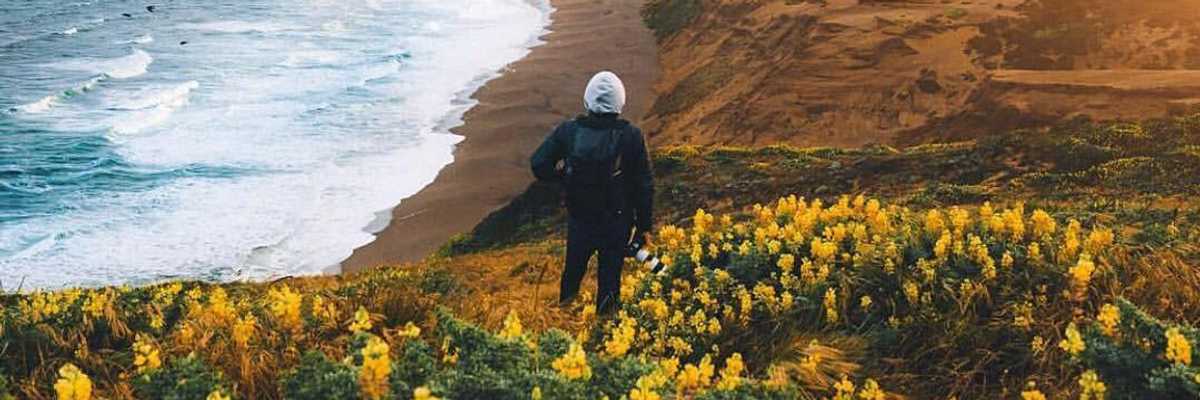 Marin's 10 Best Day Hikes