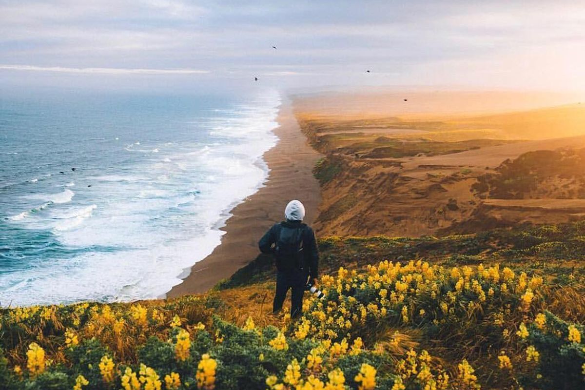 Marin's 10 Best Day Hikes