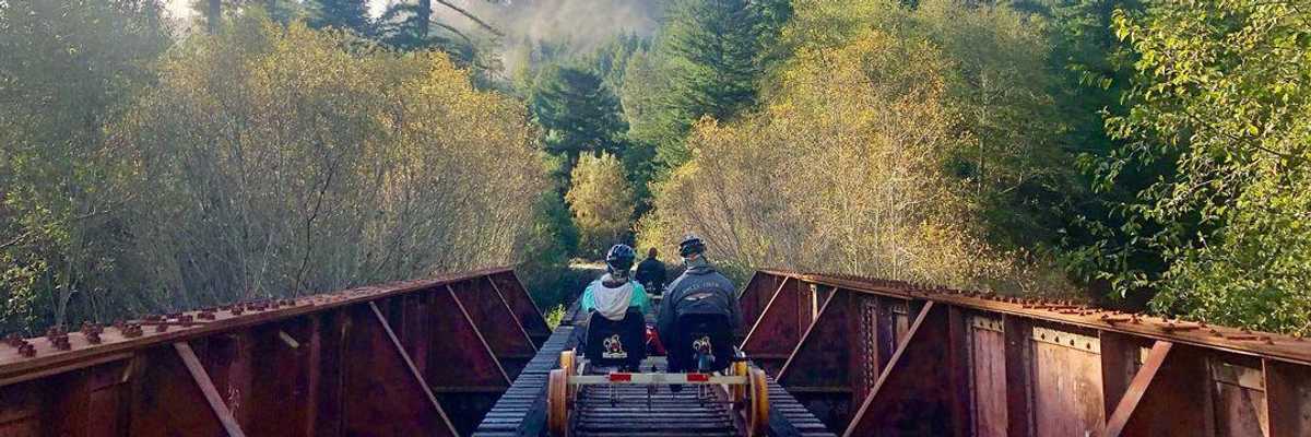 Ride through the mighty redwoods on Skunk Train's sweet new railbikes