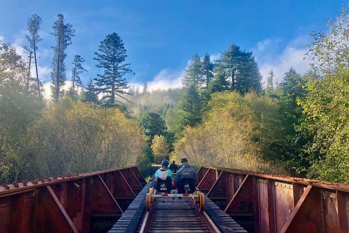 Ride through the mighty redwoods on Skunk Train's sweet new railbikes