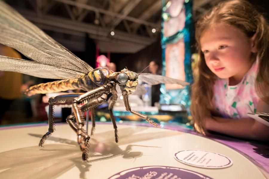 Welcome to the world of 'Bugs,' a fantastical new exhibit at Cal Academy