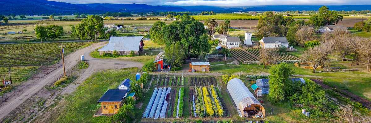 Modern Guide to Lake County: Small Town Charm, Volcanic Wines + Outdoor Life
