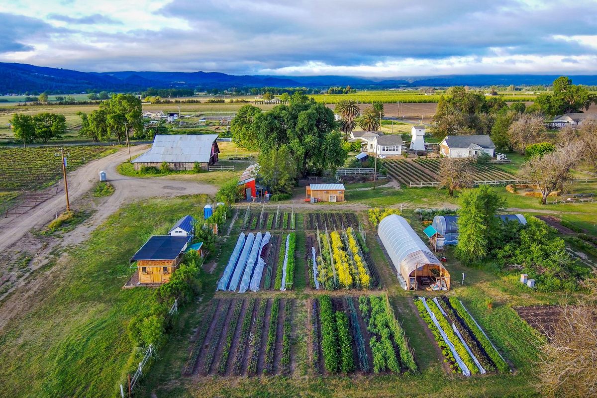 Modern Guide to Lake County: Small Town Charm, Volcanic Wines + Outdoor Life