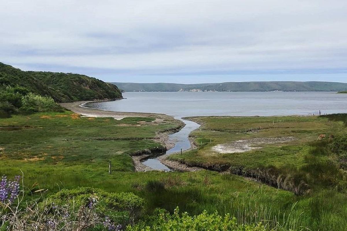 Inverness Rd Point Reyes Point Reyes National Seashore + Inverness Park Market, Marin - 7x7 Bay Area