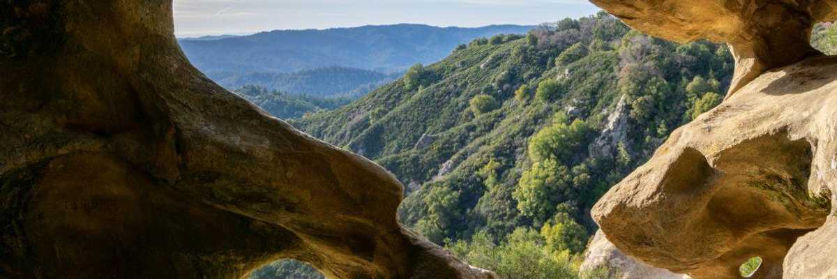 Santa Cruz Mountains Day Trip: Redwoods, Wineries + Old-School Eats