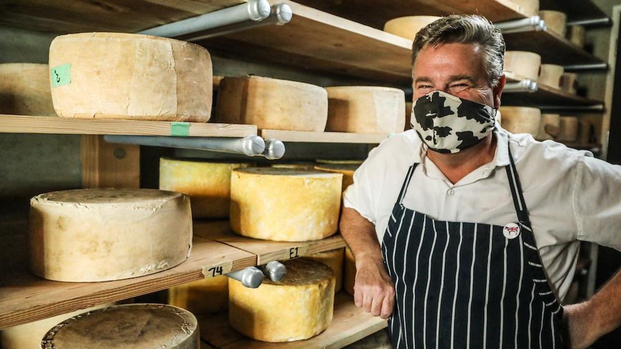 Local terroir + European style = exceptional Northern California cheese