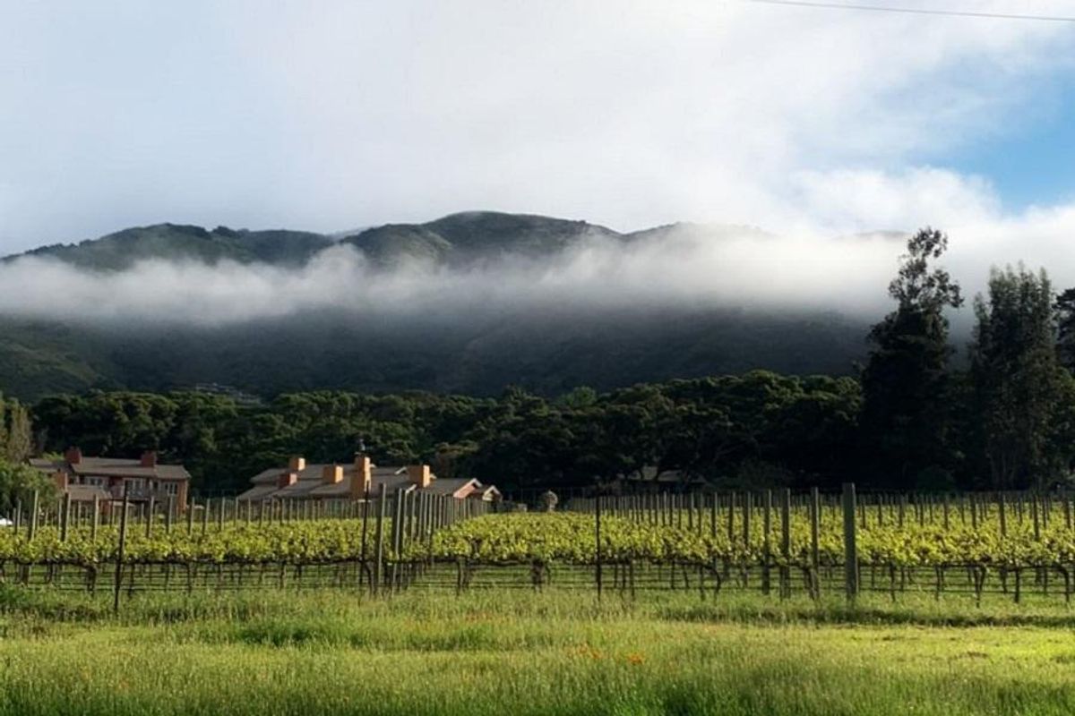Farm-to-table meets wellness on the perfect weekend escape to Carmel Valley