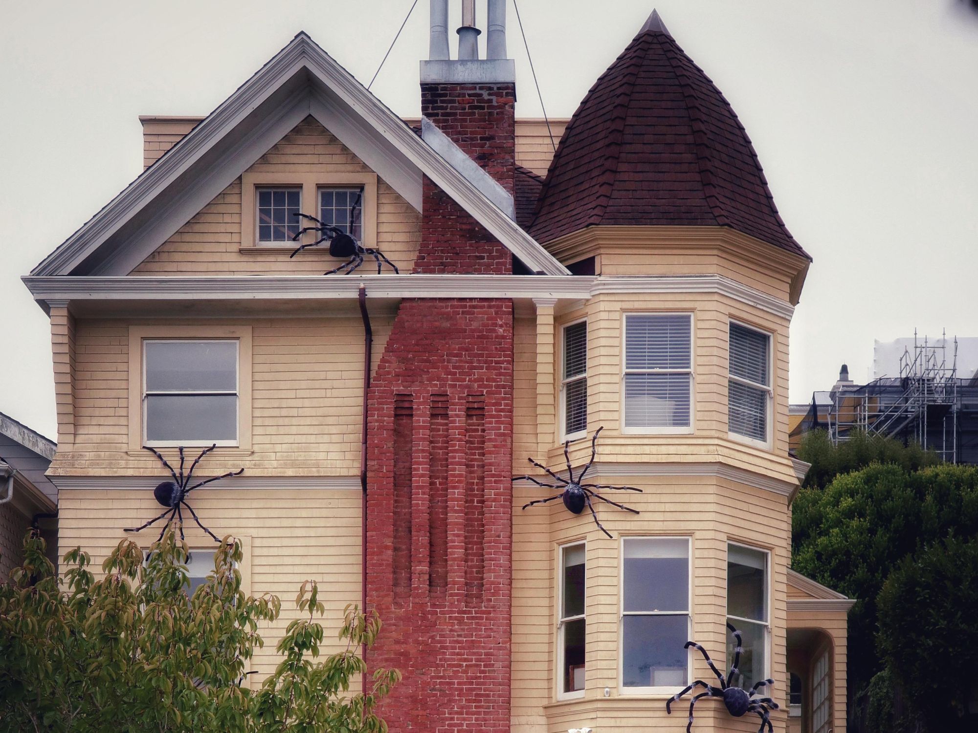 Spooky by the Bay: This Year's Best Halloween Houses in San Francisco