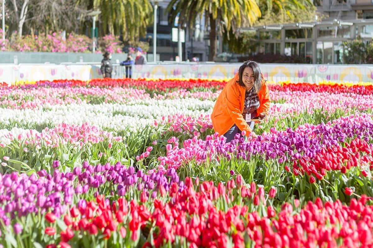 20 Fun Things to Do This Week (2.27.23)