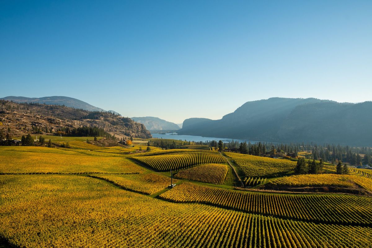 Okanagan Valley: The British Columbia Wine Region You Need to Know