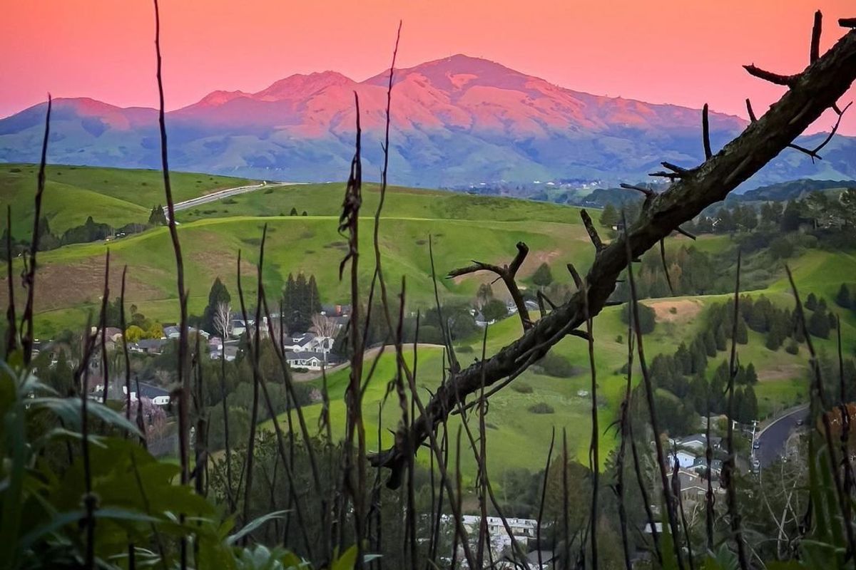 8 Butt-Kicking Hikes up the Bay Area's Tallest Mountains