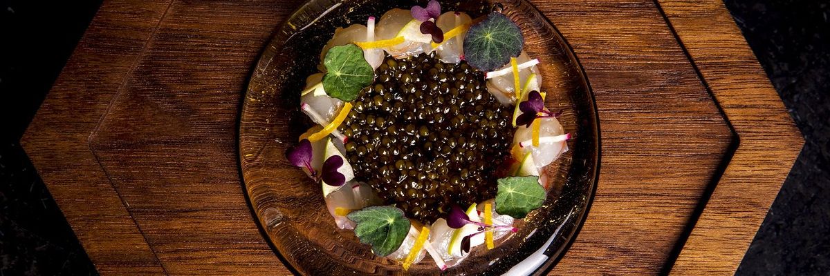 First Taste: Sustainable seafood meets culinary extravagance at SoMa's Aphotic