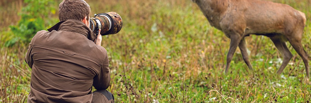 Walk on the wild side of Marin with flora and fauna adventures