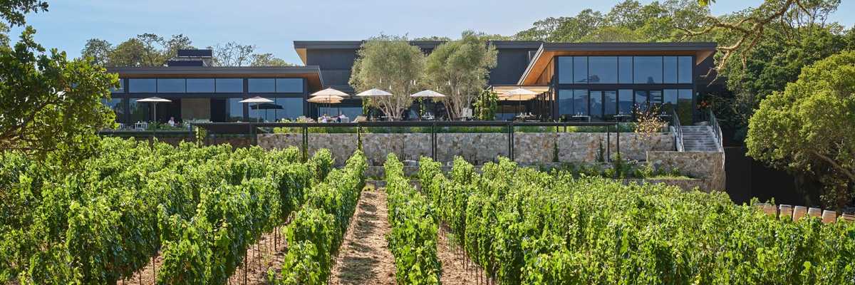 Modern Guide to Healdsburg: New Restaurants, Posh Stays + Wine for Days