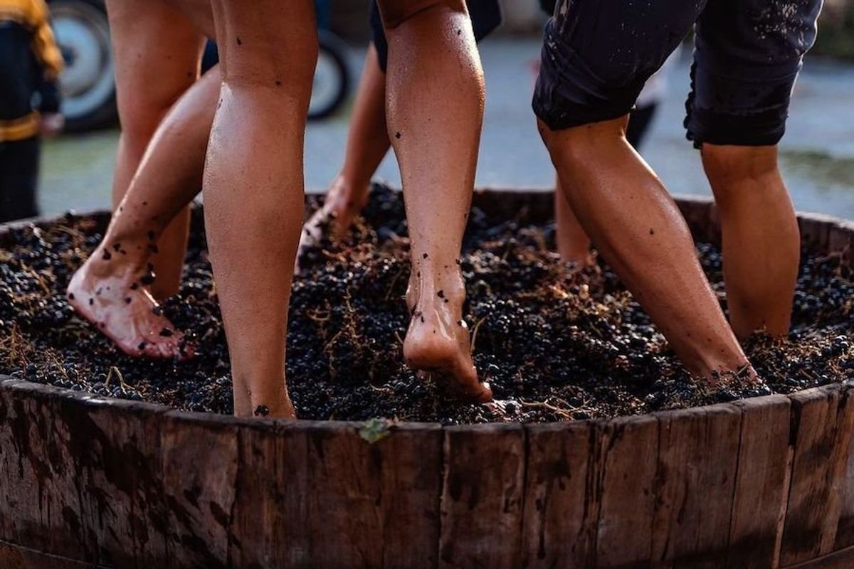 Grape Stomps + Wine Galore at This Fall's Harvest Happenings
