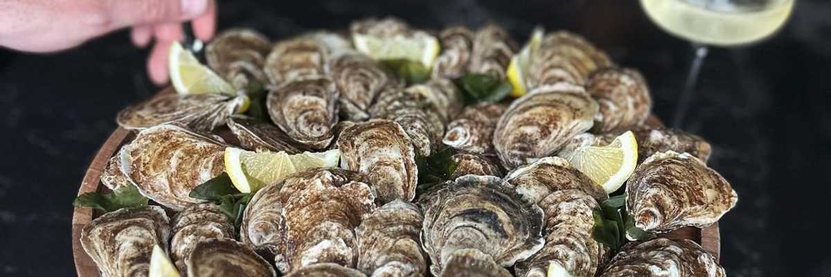 10 Great Happy Hours in San Francisco