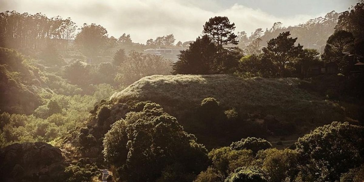 5 Bay Area Hikes with a Side of Brunch