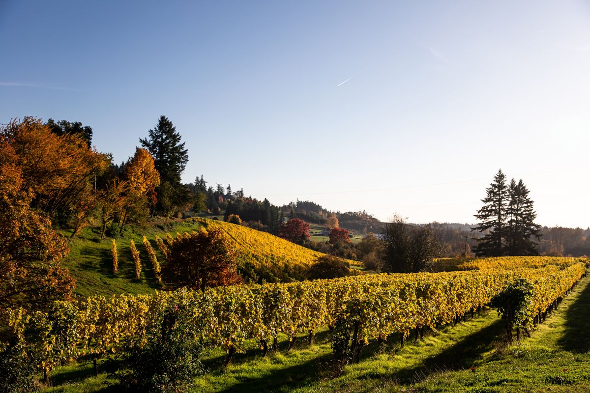A new Whiskey Trail meets wine tasting in Oregon's Willamette Valley