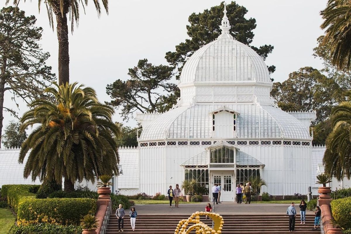 15 Fun Things to Do This Week (1.8.24)