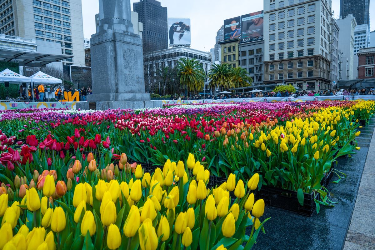 16 Fun Things to Do This Week (3.4.24)