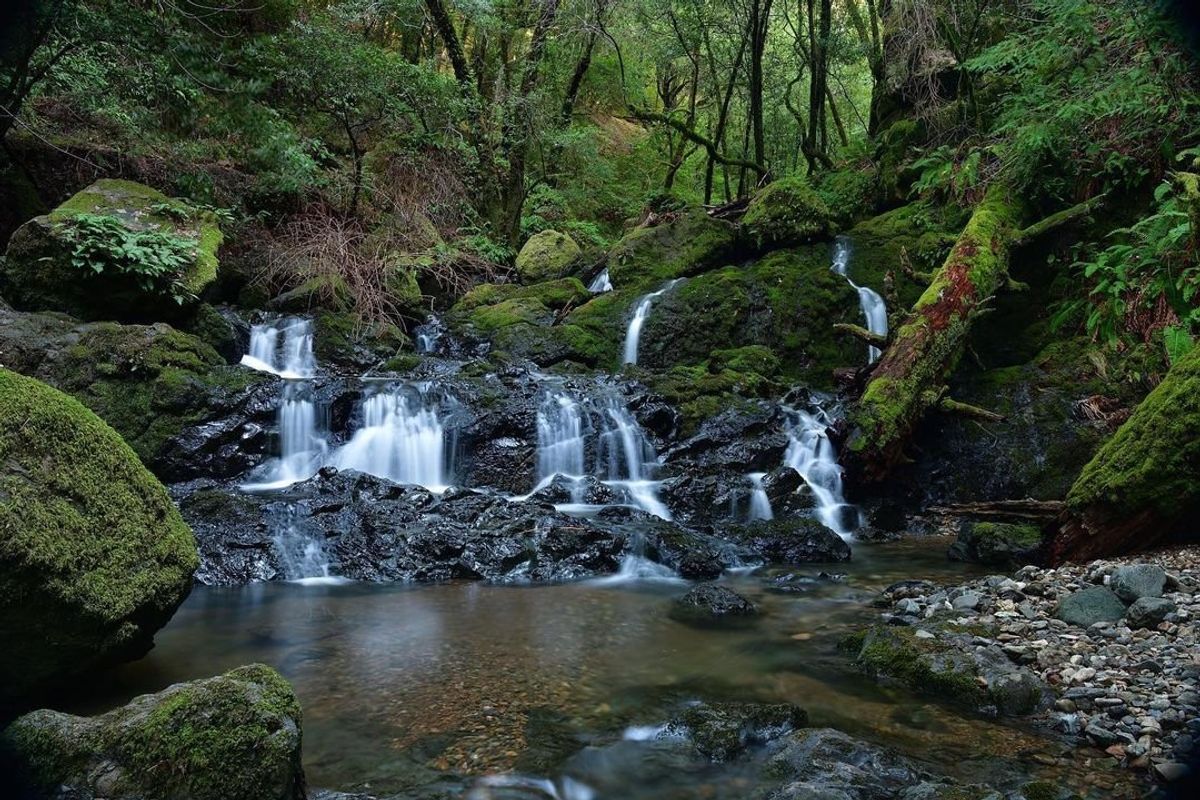 3 Fabulous Waterfall Hikes on Marin's Mt. Tamalpais
