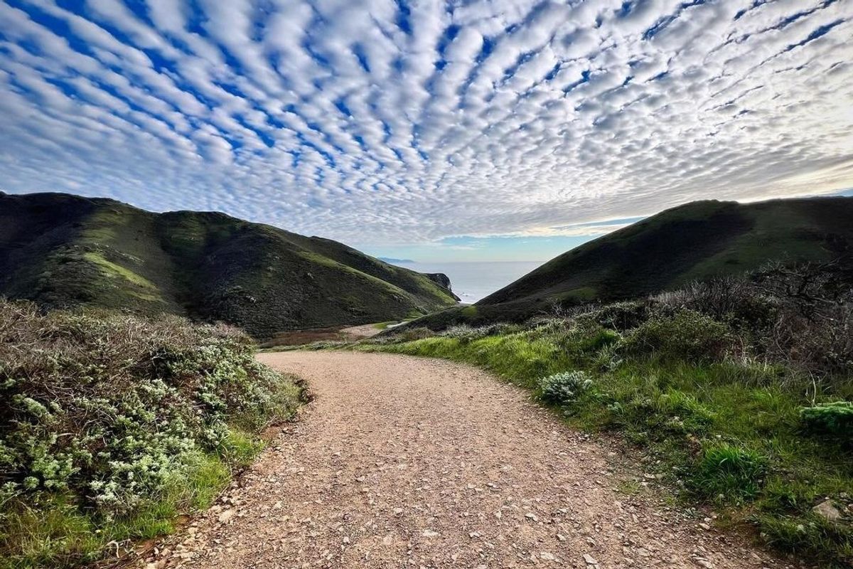 5 Great Bay Area Hikes with No Steep Hills to Climb