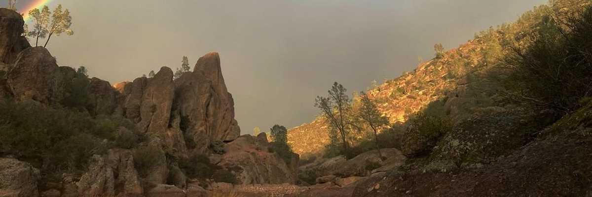 9 National Parks: Exploring California's forests, volcanoes, deserts + islands