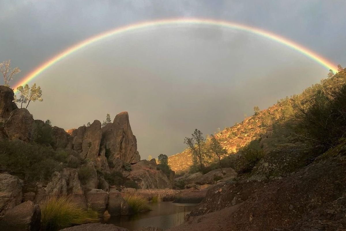 9 National Parks: Exploring California's forests, volcanoes, deserts + islands