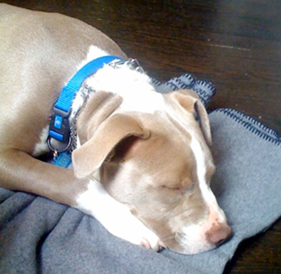 Stuff We Like: Our Weekly Editors' Endorsements