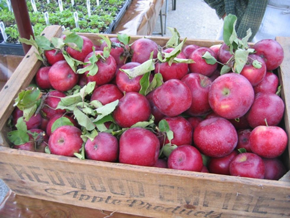 Market Watch: Fall Fruits & Vegetables @ The Ferry Plaza Farmers Market